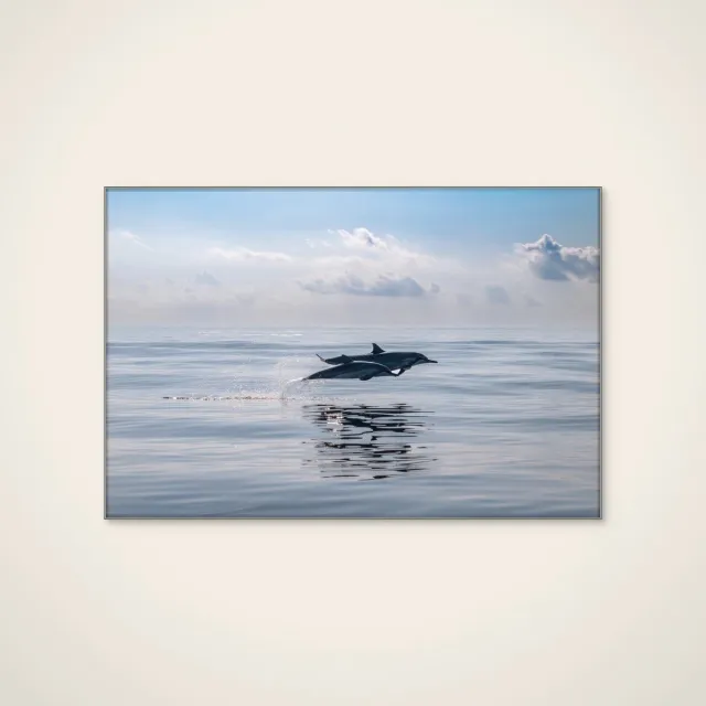 HelloWalls Akoestisch schilderij - 90 x 60 cm - Dolphins Leaping Ocean van Serge Melesan - Dieren wanddecoratie - zilver textielframe Meerkleurig