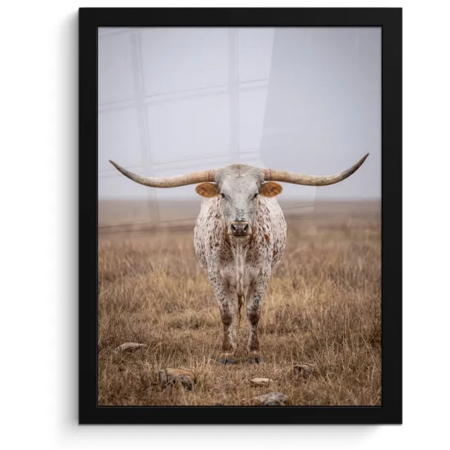 FrameYourWall Poster in lijst - Fotolijst 30x40 cm - Posters - Longhorn - Grasveld - Dier - Posterlijst zwart - Decoratie - Wanddecoratie woonkamer - Muurdecoratie slaapkamer