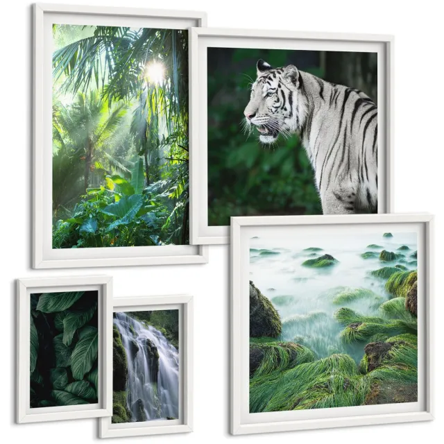 Coloray 5-Delige Schilderij Set - Tropische Natuur Met Wilde Dieren En Watervallen - 50 x 50 cm, 20 x 30 cm En 40 x 60 cm - Decoratieve Muurdecoratie - Slaapkamer - Woonkamer Decoratie Witte lijst