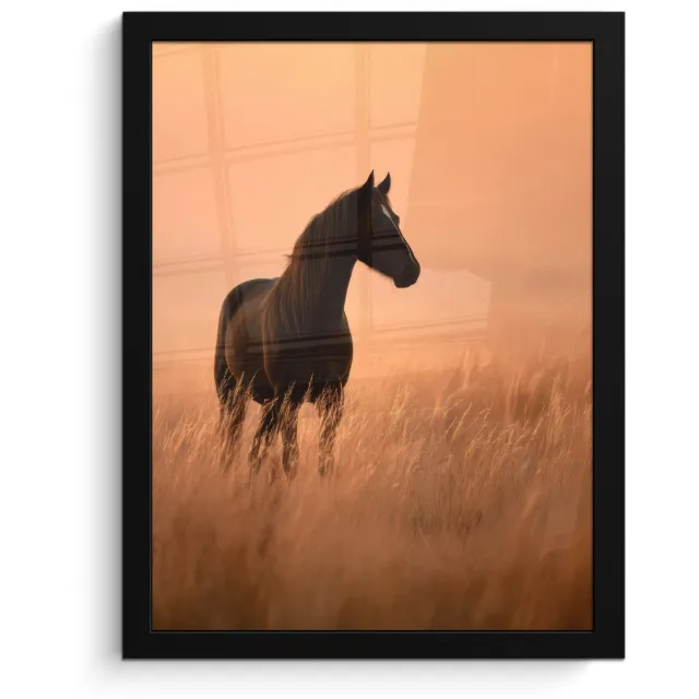 FrameYourWall Poster in lijst - Fotolijst 30x40 cm - Posters - Paard - Grasveld - Zonsondergang - Posterlijst zwart - Decoratie - Wanddecoratie woonkamer - Muurdecoratie slaapkamer