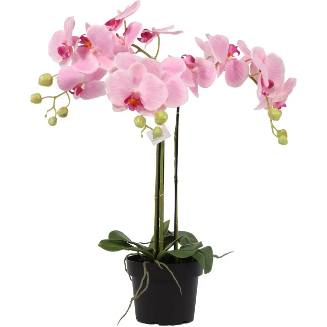 Kunstpalm Kunst Orchideeplant Roze – 65 cm – Real Touch Bloemen – In Zwarte Pot – Kunst orchidee