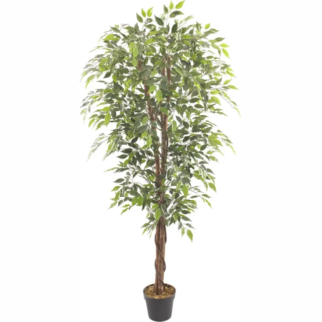 homebound by ky Kunstboom Fica ficus 10cm Meerkleurig