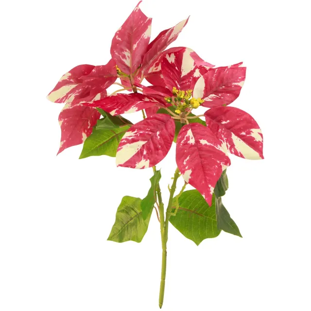 Viana Kunstkerstster in rode crème L35cm 6st 2 bos, 6 stuks Veelkleurig