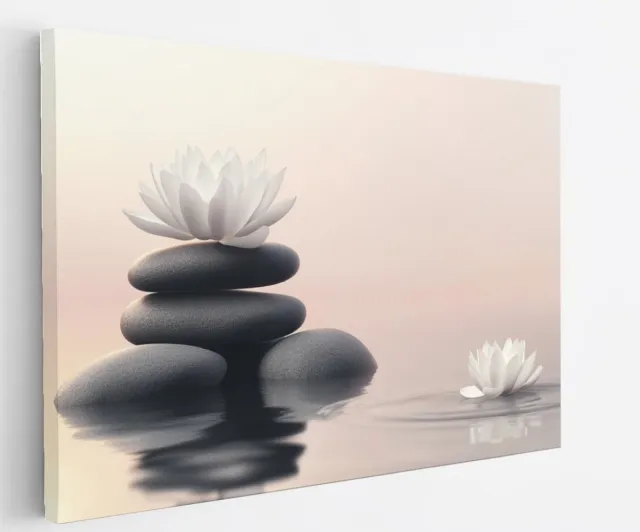 Saammp Canvas Schilderij - Witte Bloemen met stenen - Landschap - Natuur - 40x30 - Foto op canvas - Wanddecoratie - Muurdecoratie Woonkamer - Slaapkamer decoratie - Canvas Print Multicolor
