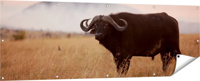 Gards Tuinposter Buffel in het Gras - 180x60 cm - Tuindoek - Tuindecoratie - Wanddecoratie buiten - Tuinschilderij Multikleur
