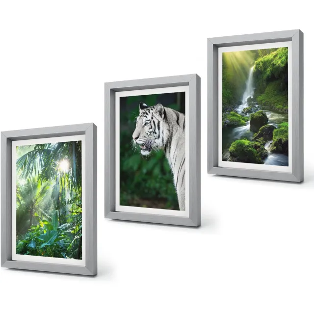 Coloray 4-Delige Schilderij Set - Jungle met een witte tijger en een wilde waterval - 20 x 30 cm - Wanddecoratie - Moderne Interieurdecoratie - Stijlvolle Muurdecoratie Zilveren lijst