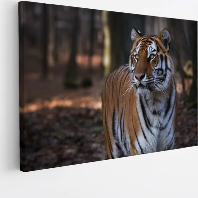 Saammp Canvas Schilderij - Tijger in het bos - Natuur - Dieren - 120x80 - Foto op canvas - Wanddecoratie - muurdecoratie Woonkamer - Slaapkamer decoratie - Canvas Print Multicolor