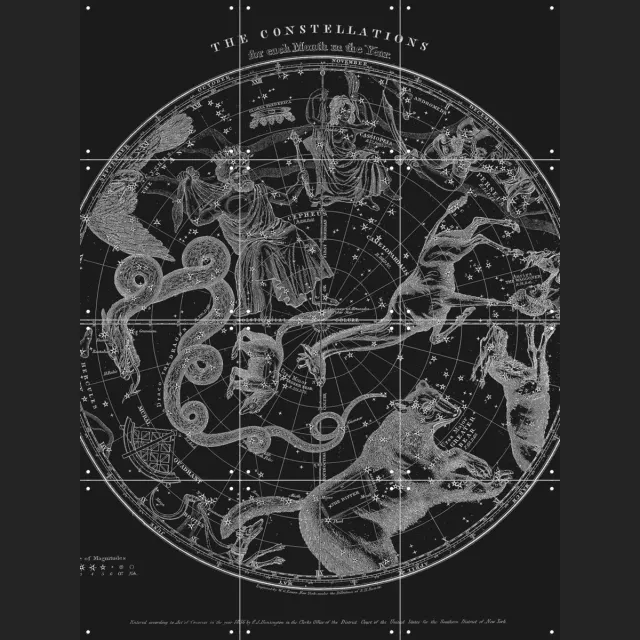 IXXI The Constellations black, Aster Edition - 60 x 80 cm - Grote wanddecoratie en posters - Vintage, Illustraties, Houtsnede, Woonkamer, Mancave Monochroom / Zwart / Donkere tinten / Zwart en wit