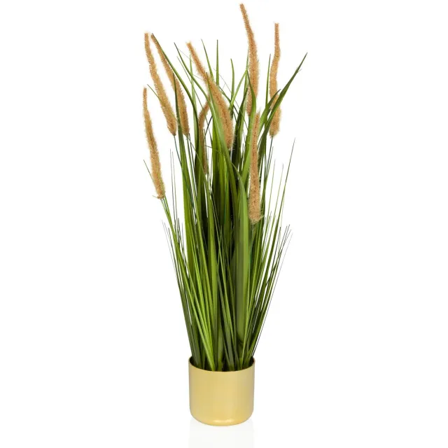 hjh office Kunstplant CORTADERIA I Beige/Groen hjh OFFICE