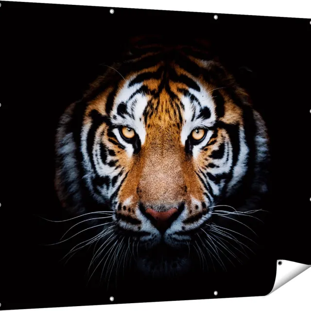 Gards Tuinposter Tijger op Zwart Achtergrond - 150x120 cm - Tuindoek - Tuindecoratie - Wanddecoratie buiten - Tuinschilderij Multikleur