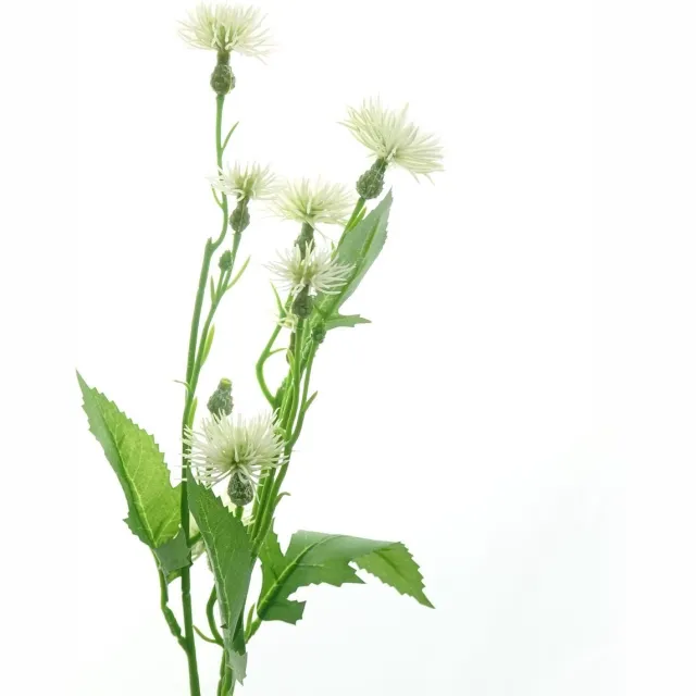 DPI GmbH DPI Mini-Distels Creme ca. 55 cm - Kunstbloemen