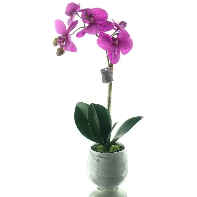 Gasper Vlinderorchidee Lila Keramiekpot 36 cm - Kunstbloemen Paars