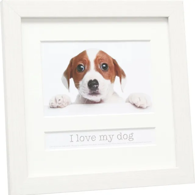 Deknudt Frames multifotolijst - wit - DOG - foto 10x15 cm met tekstvak