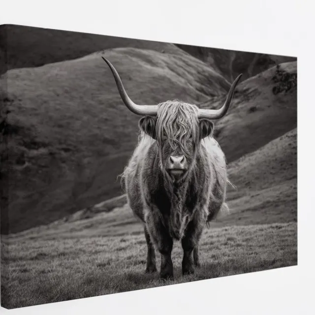 Saammp Canvas Schilderij - Schotse Hooglander Koe tussen de rode planten - Landschap - Dieren - Natuur - 60x40 - Foto op canvas - Wanddecoratie - muurdecoratie Woonkamer - Slaapkamer decoratie - Canvas Print multicolor