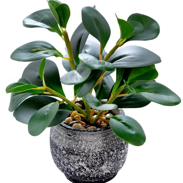 Unyqoos Decoratieve groene plant in stevige pot voor binnen en overdekte buitenruimtes Zwart