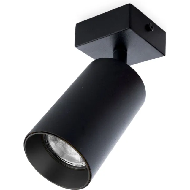 Groenovatie Plafondspot Rond - GU10 Fitting - Kantelbaar - IP20 - Mat Zwart