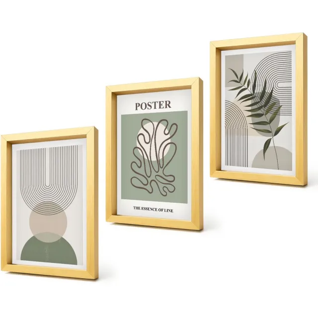 Coloray 4-Delige Schilderij Set - Geometrische abstracte botanische patronen poster - 20 x 30 cm - Muurdecoratie - Decoratieve Schilderijen - Wohnzimmer - Stijlvolle Muurdecoratie Gouden lijst