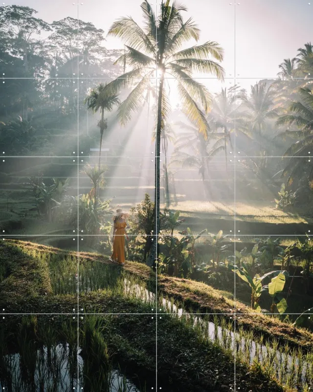 IXXI Bali, Tristan Zhou - 80 x 100 cm - Grote wanddecoratie en posters - Fotografie, Kleurrijk, Naturalisme, Woonkamer, Slaapkamer, Natuur, Planten Groen