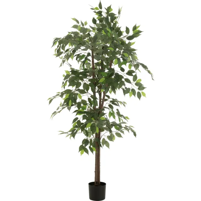 J-Line ficus in pot - kunststof - groen