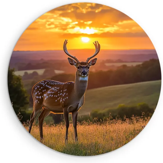 Saammp Muurcirkel Hout - Hert in zonsopgang tussen de heuvels - Natuur - Dieren - Ø 70 - Wandcirkel - Wanddecoratie Cirkel - Muurdecoratie Woonkamer - Slaapkamer decoratie - Rond Schilderij