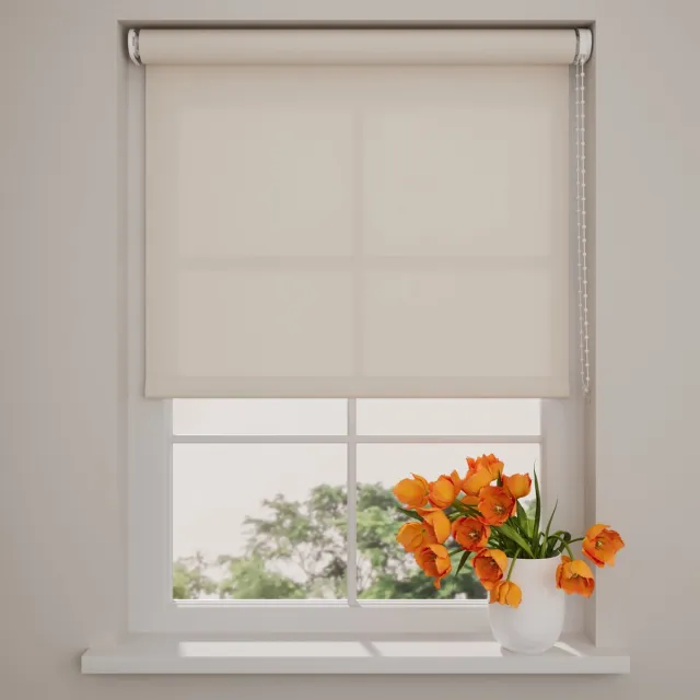 DTCH Rolgordijn Lichtdoorlatend - Easy - Zand - 110 x 275 cm - Meerdere maten verkrijgbaar - 40 t/m 240 cm breed - Zonwering
