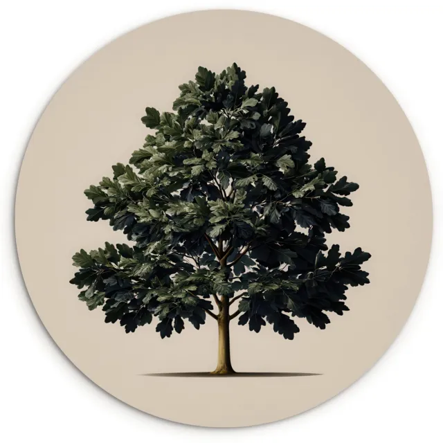 WallCircle Wandcirkel 60x60 cm - Muurcirkel Eikenboom - Schaduw - Egaal - Muurdecoratie woonkamer - Wanddecoratie slaapkamer - Kamer decoratie accessoires - Ronde schilderijen Eikenboom - Egaal