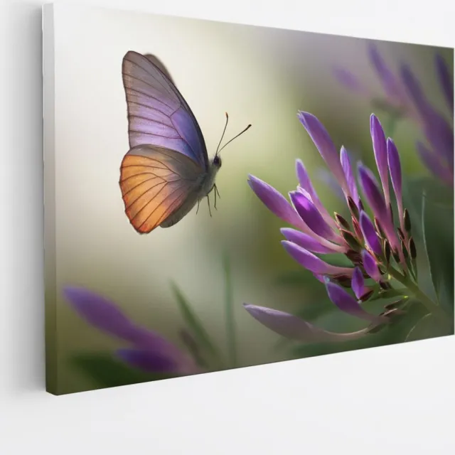 Saammp Canvas Schilderij - Vlinder naar paarse bloem - Natuur - Dieren - 50x40 - Foto op canvas - Wanddecoratie - muurdecoratie Woonkamer - Slaapkamer decoratie - Canvas Print Multicolor
