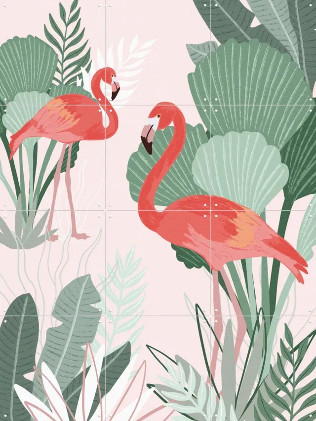 IXXI Flamingo Dreams, Goed Blauw - 60 x 80 cm - Grote wanddecoratie en posters - Illustraties, Speels, Woonkamer, Natuur, Vogels, Tropisch Roze