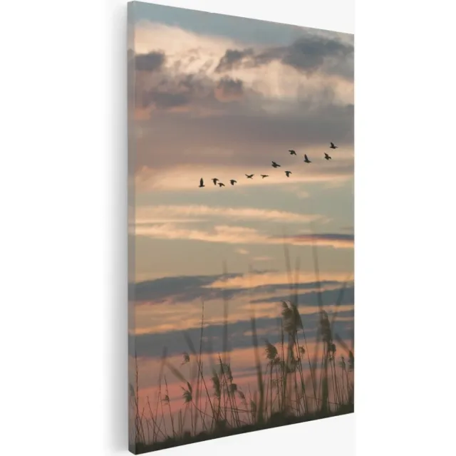 Saammp Canvas Schilderij -Vogels tijdens Golden hour - Zonsondergang - Landschap - Natuur - 75x100 - Foto op canvas - Wanddecoratie - Muurdecoratie Woonkamer - Slaapkamer decoratie - Canvas Print Multicolor