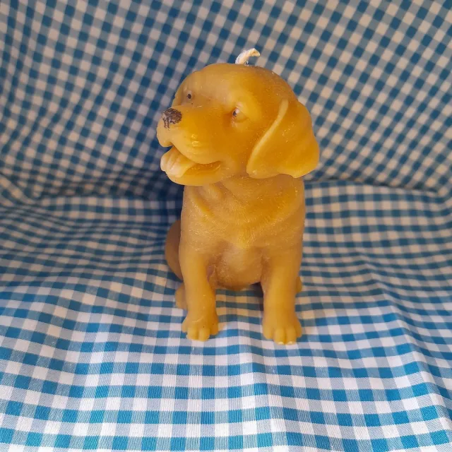cailleagh's candles and gifts Bijenwas kaars, hond, Labrador geel