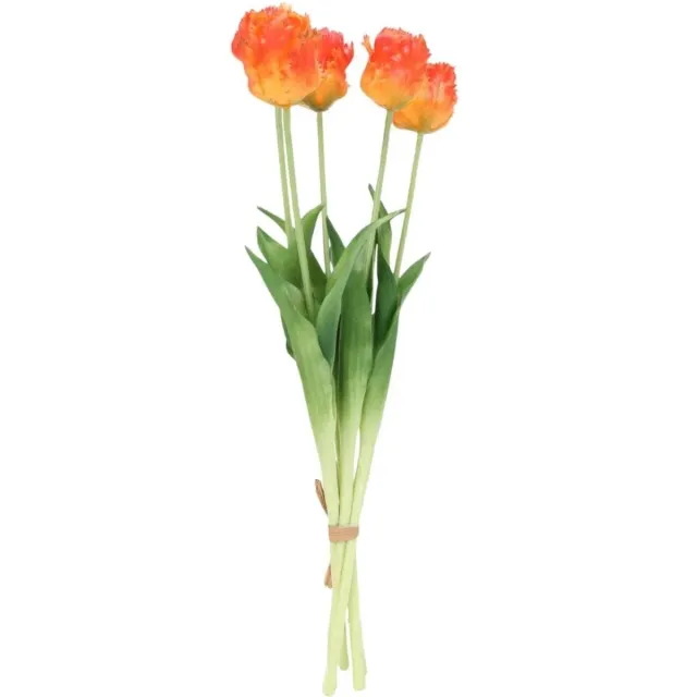 House of Nature Tulpen boeket oranje met franjes