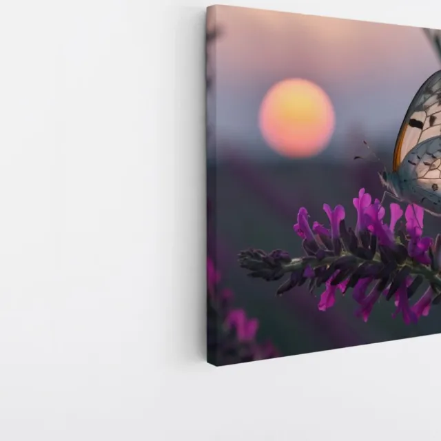 Saammp Canvas Schilderij - Vlinder op Bloemen - Abstract - Natuur - 20x20 - Foto op canvas - Wanddecoratie - Muurdecoratie Woonkamer - Kantoor Decoratie Multicolor