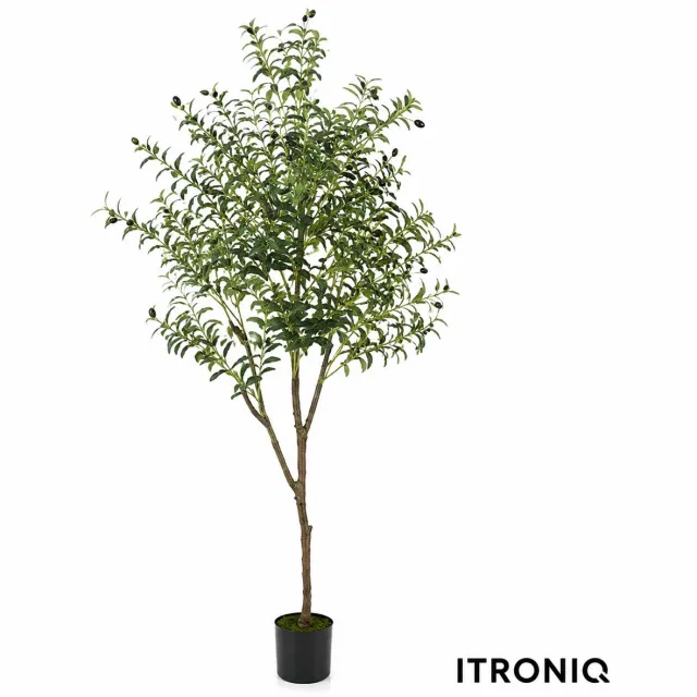 ITRONIQ Kunst Olijfboom 180 cm - Kunstplant Olijfboom Met Olijven - Realistische Kunstboom Voor Woonkamer Kantoor - Groen