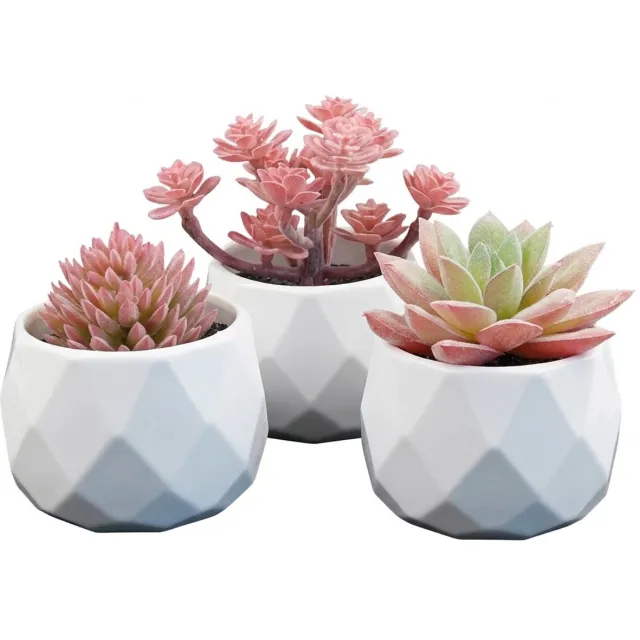 NUVEX Roze groene kunstplanten vetplanten in witte potten 3 stuks – mini kunst planten met verschillende bladvormen – decoratieve nep planten voor bureau vensterbank boekenplank slaapkamer kantoor en badkamer