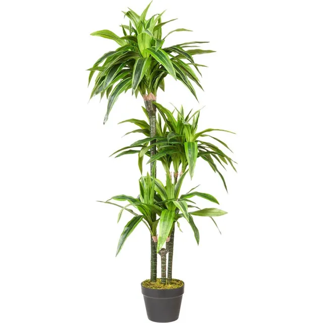 HTT Decorations Kunstplant Dracaena Lemon Lime H120cm - HTT Decorations kunstplanten Groen