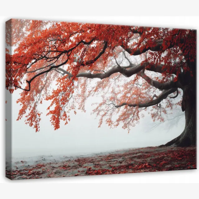 WALLARENA Schilderij op canvas - 40x30 cm - boom natuur landschap mist - Geschikt voor slaapkamer en woonkamer Veelkleurig