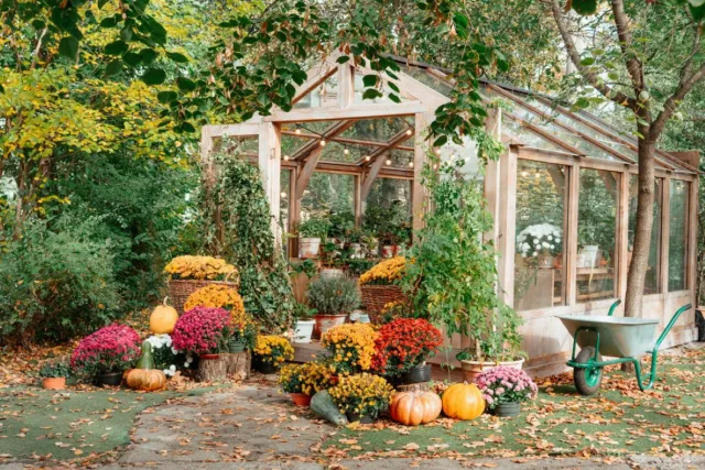 Vgdesign Herfsttuin met pompoenen 70x50 tuinposter banner VGDesign onbekend