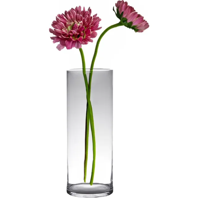 Hakbijl Glass bloemenvaas - Transparant - glas - D19 x H60 cm - Cilinder vormig - Bloemen/takken/boeketten vaas