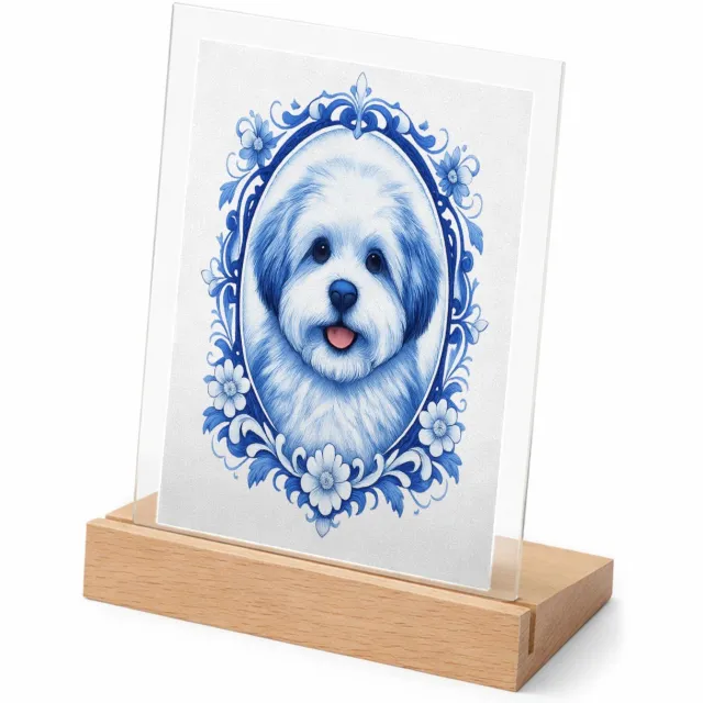 Mr Cadeautjes Glasframe met vaste tekst - design Een frontaal kattenportret met een elegante botanische omlij | cadeau Wit