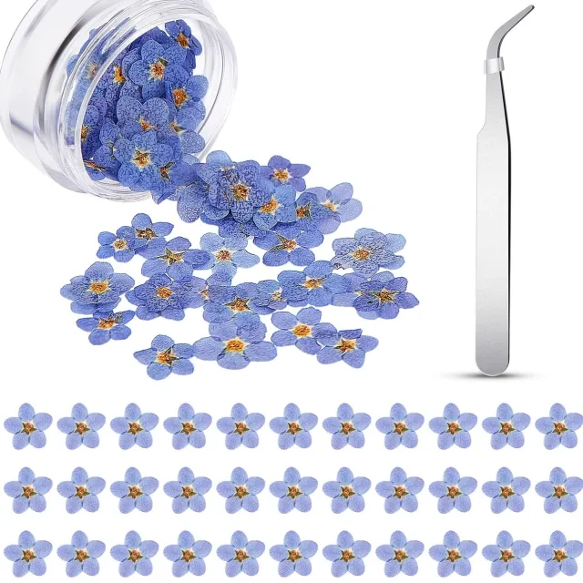 Famanu Gedroogde vergeet-mij-niet bloemen set van 80 stuks voor creatieve projecten