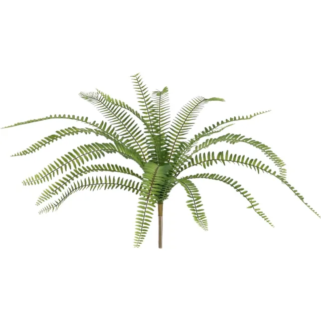 maxifleur Kunstplanten Asplenium Kunst Varen 50cm Groen