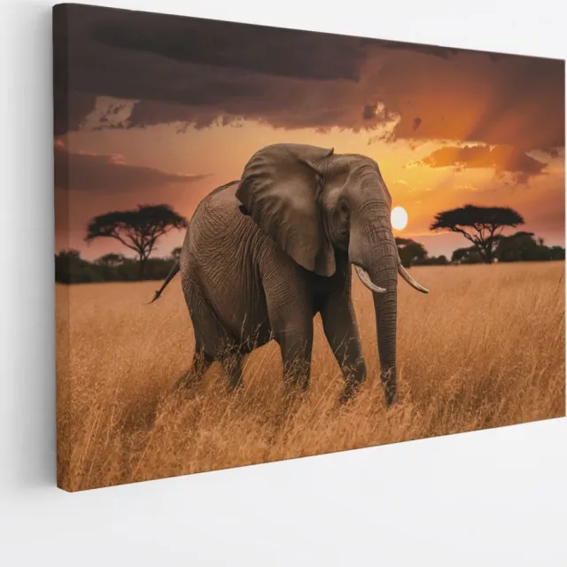 Saammp Canvas Schilderij - olifant in de Natuur - Afrika - Dieren - 40x30 - Foto op canvas - Wanddecoratie - muurdecoratie Woonkamer - Slaapkamer decoratie - Canvas Print Multicolor