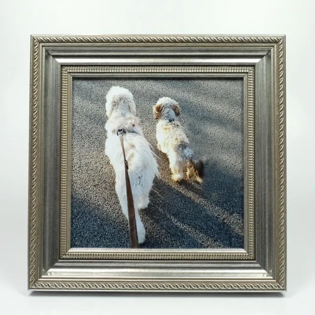 Alle lijsten AL - Barok Fotolijst - Zilver - 50 x 50 cm