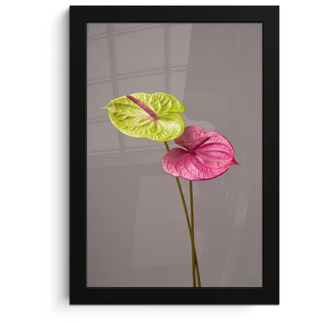 FrameYourWall Poster in lijst - Fotolijst 20x30 cm - Posters - Planten - Anthurium - Groen - Roze - Posterlijst zwart - Decoratie - Wanddecoratie woonkamer - Muurdecoratie slaapkamer