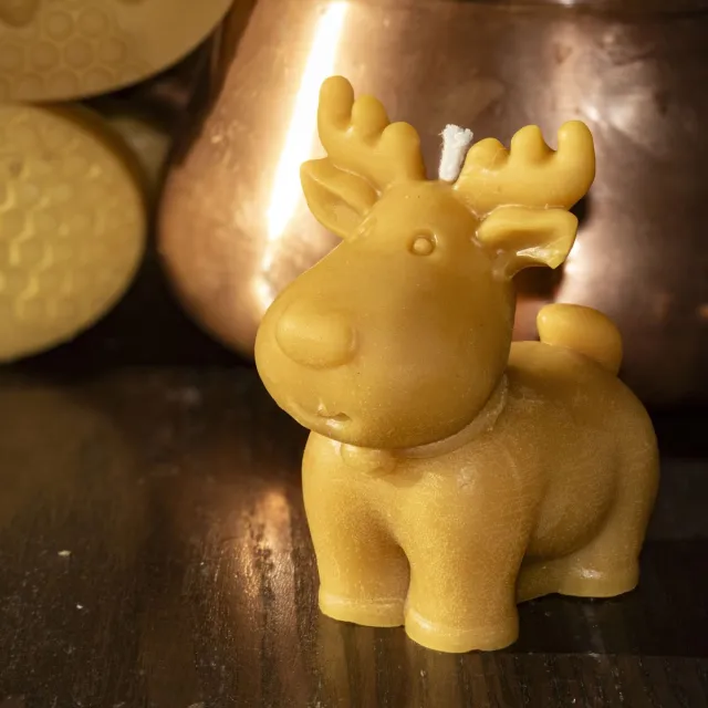 cailleagh's candles and gifts Bijenwaskaars blije eland geel