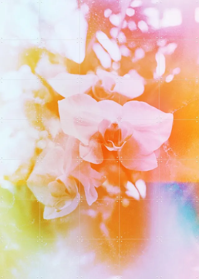 IXXI Evolve, Amber Lauder - 100 x 140 cm - Grote wanddecoratie en posters - Abstract, Kleurrijk, Fotografie, Slaapkamer, Woonkamer, Botanisch, Natuur Roze