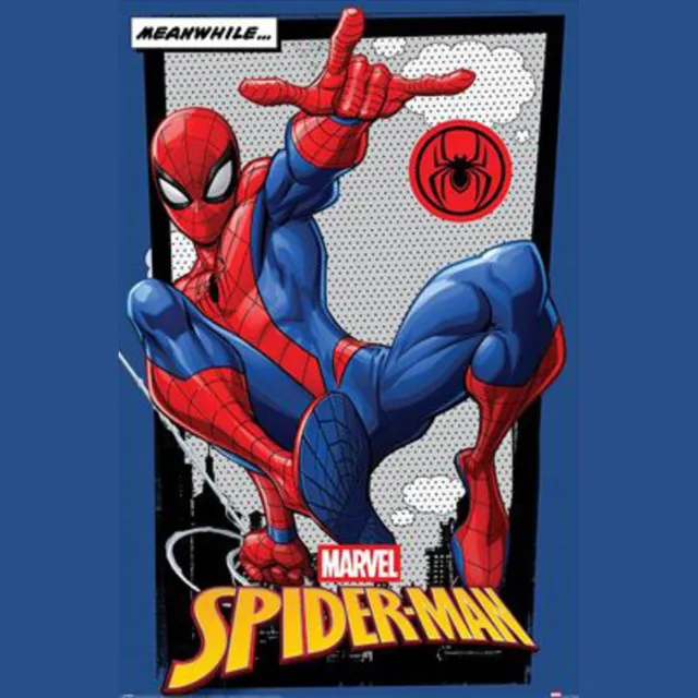 Pyramid Poster Spider-Man - Meanwhile 61x91,5cm Divers