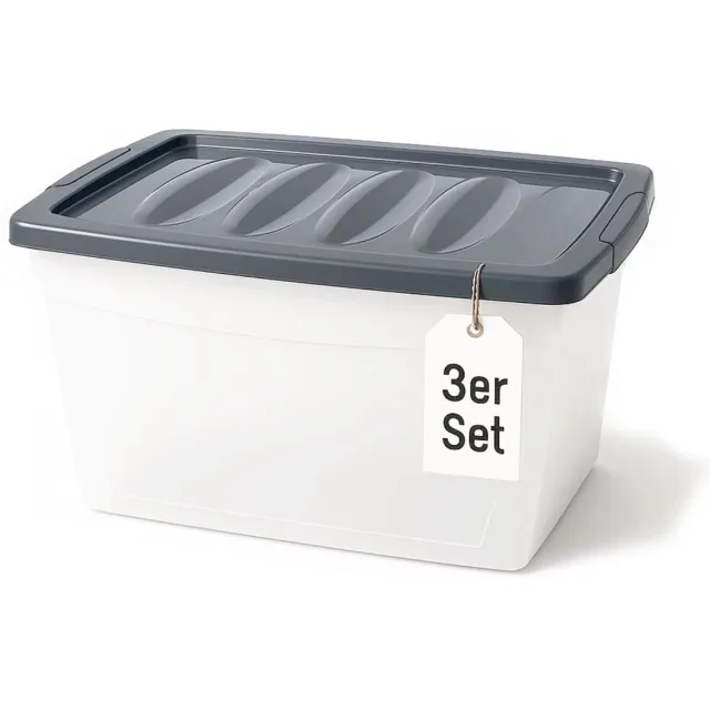 Famanu Opbergdoos met deksel, set van 3 stuks, groot formaat van 60 l, plastic doos met deksel voor opslag Wit
