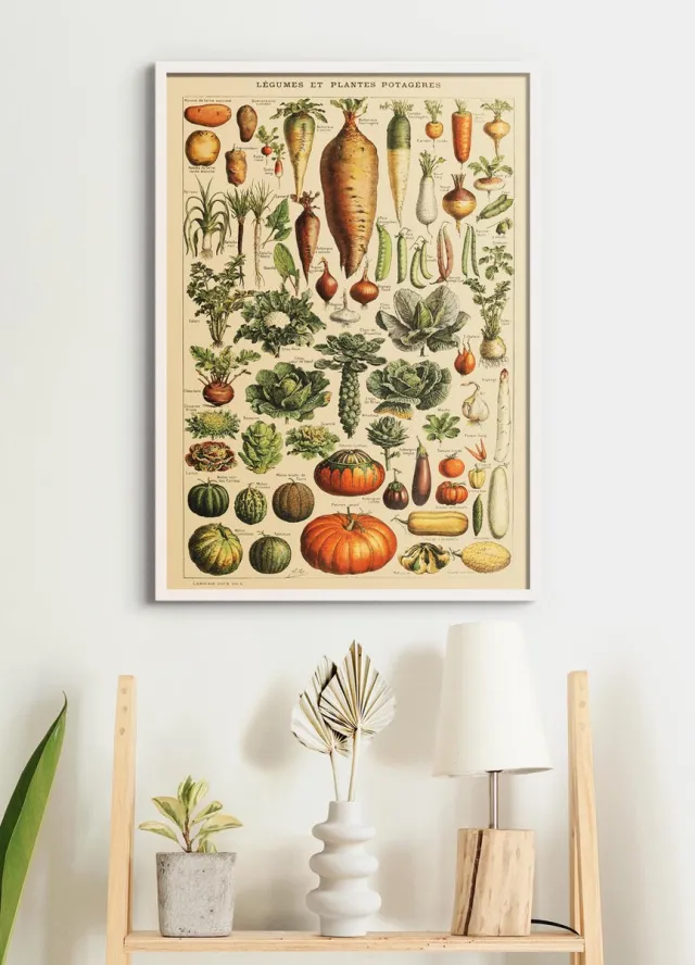 Esque Poster In Witte Lijst - Vintage Groenten - Educatief - Botanisch - 70x50 cm