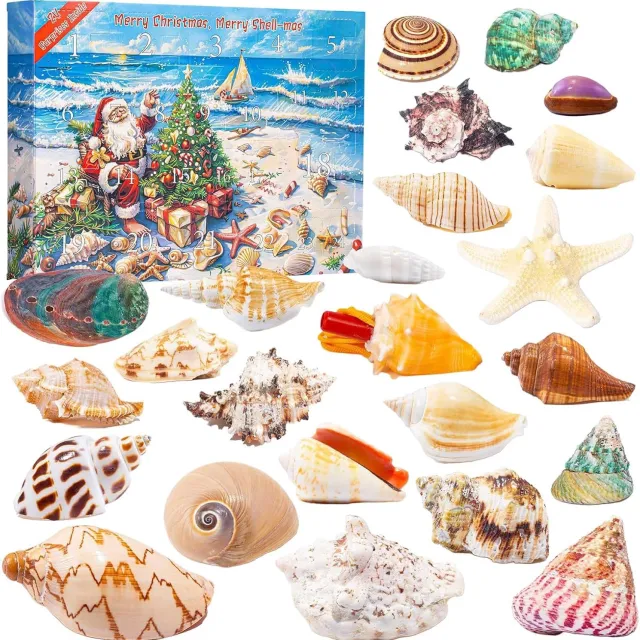 VHV Adventskalender 2026 - Strand Thema Kerst Aftelkalender - 24 Verrassingen Schelpmodellen - Kunststof - Strand Kleur - 35x25x5.5cm Meerkleurig
